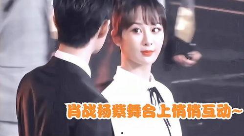 肖战杨紫最新圈内爆料是真的吗,真相揭秘还是捕风捉影？